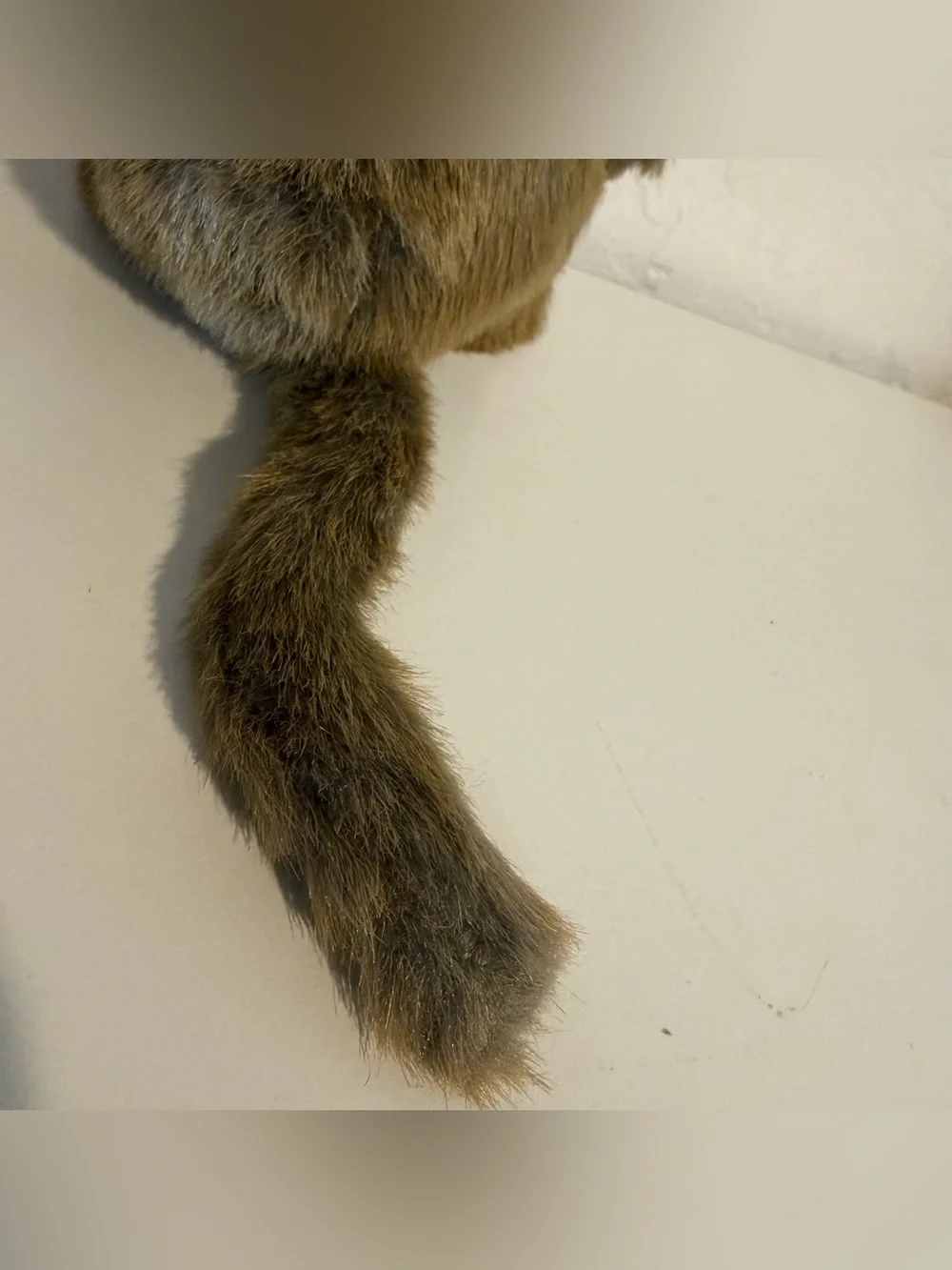 GANZ soft brown